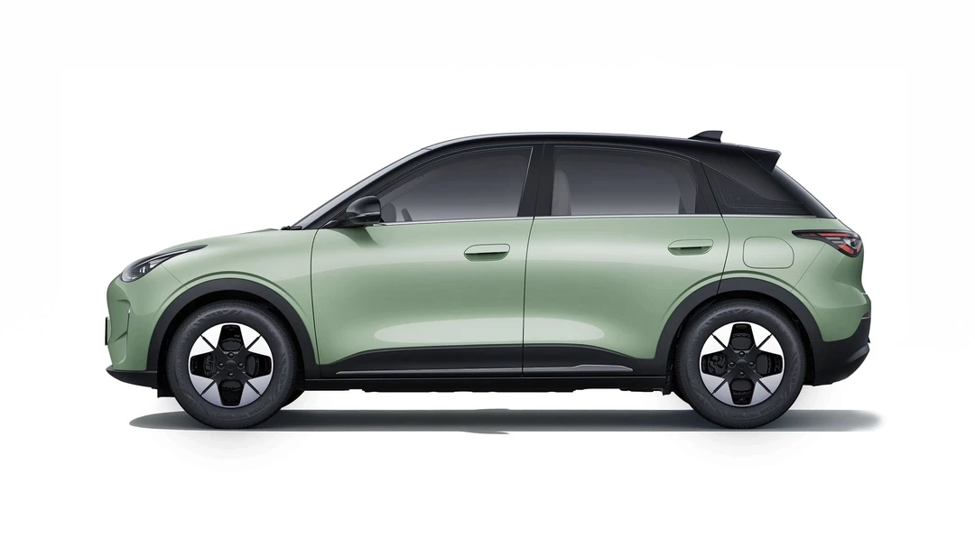 EX2 in Basil Green