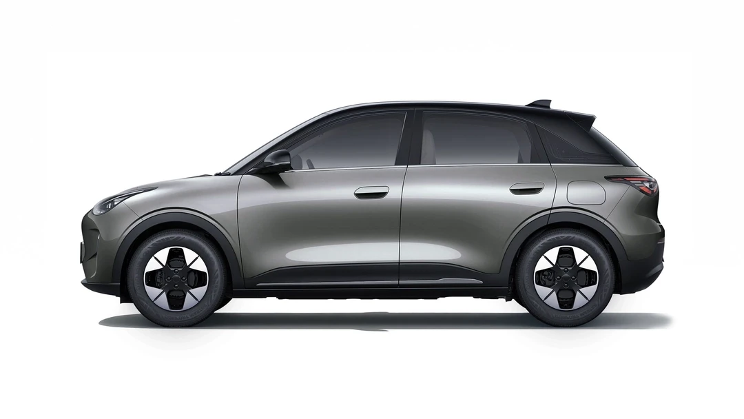 EX2 in Truffle Grey